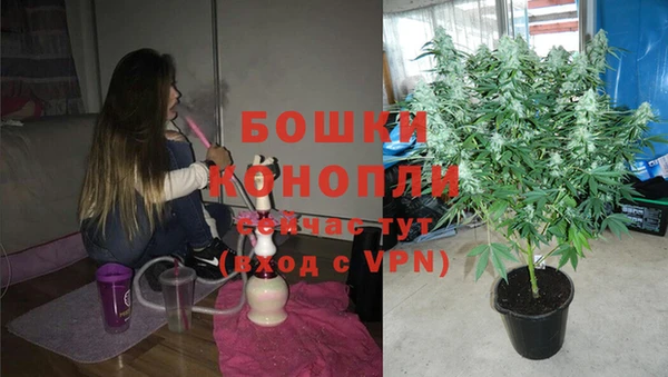 ПСИЛОЦИБИНОВЫЕ ГРИБЫ Дмитров