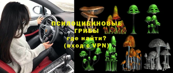 скорость Дмитриев