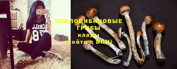 соль курить ск Медногорск