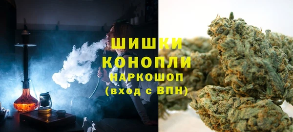 прущие грибы Елизово