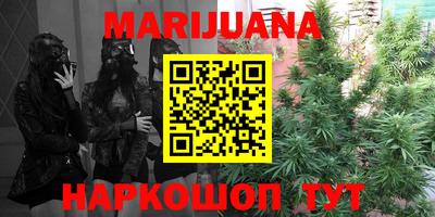 сатива Будённовск