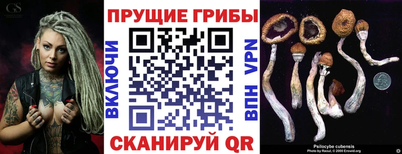 Псилоцибиновые грибы прущие грибы  магазин продажи наркотиков  Елабуга 