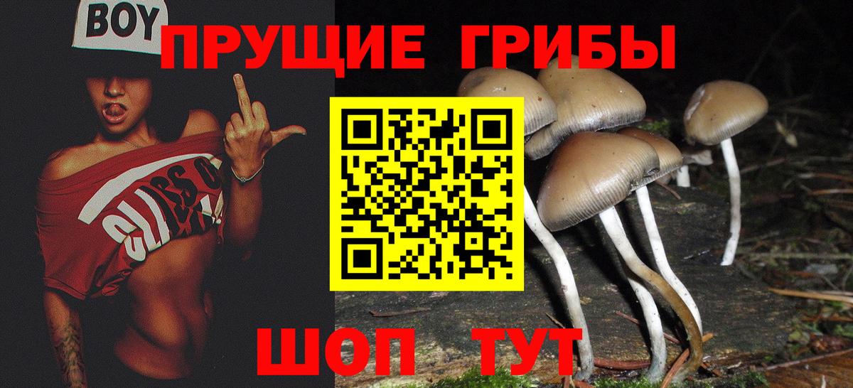 Галлюциногенные грибы прущие грибы  Елабуга 