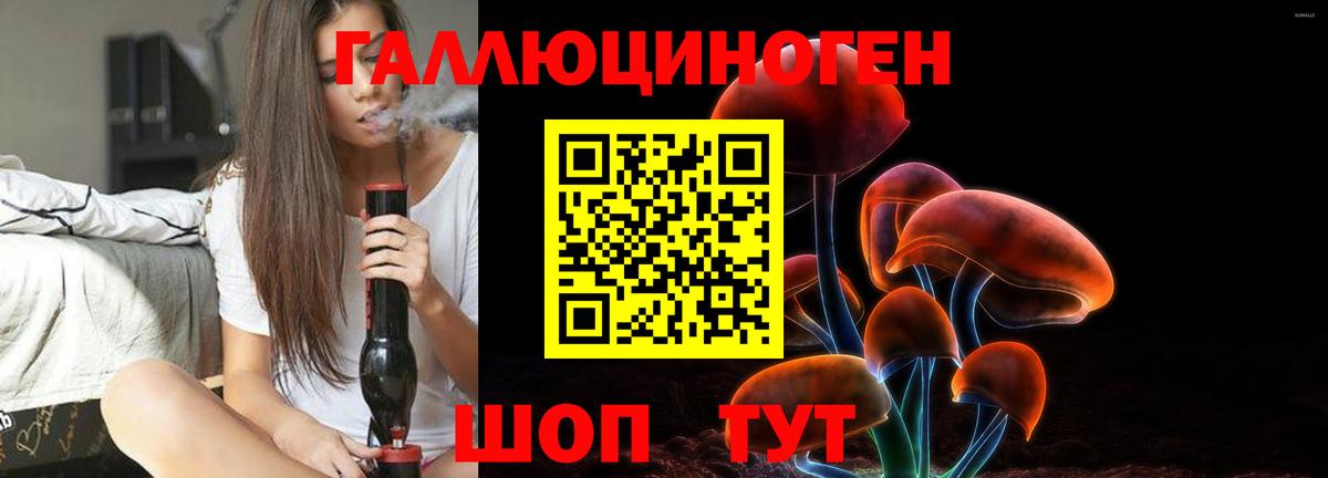 Псилоцибиновые грибы ЛСД Елабуга